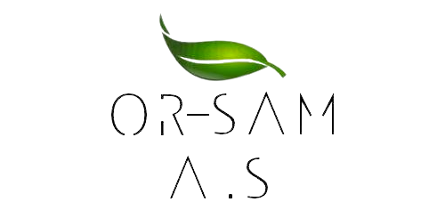 orsam.com.tr