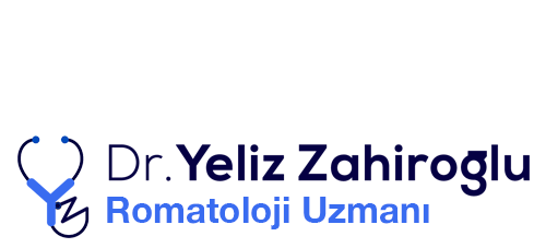 yelizzahiroglu.com